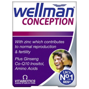 wellman-conception.jpg