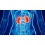 wbz-symptoms-of-kidney-disease.jpg